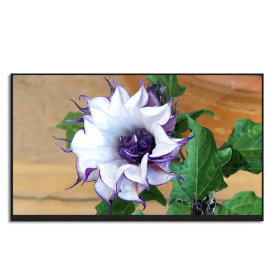 eDP 30 Pins 13.3 LCD Screen TFT Display Module 1920*1080